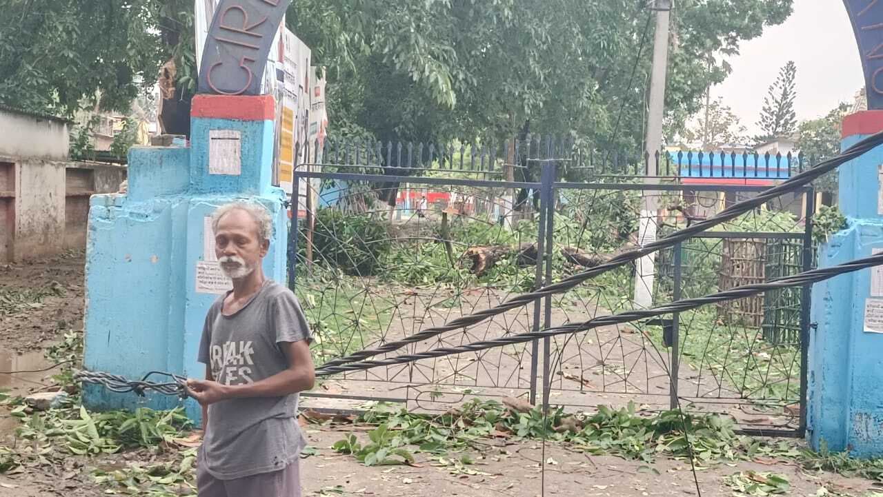 आंधी व बारिश ने शहर में मचाई तबाही, पेड़ उखड़े, घरों के उड़े टीन शेड