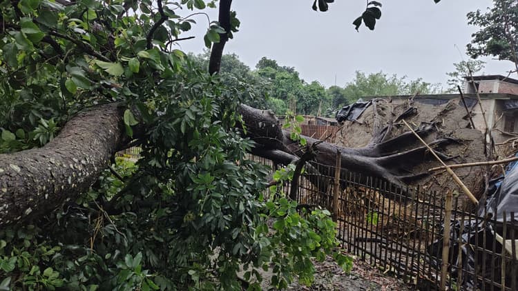 घरों के उड़े छप्पर, मक्के की फसल हुई बर्बाद