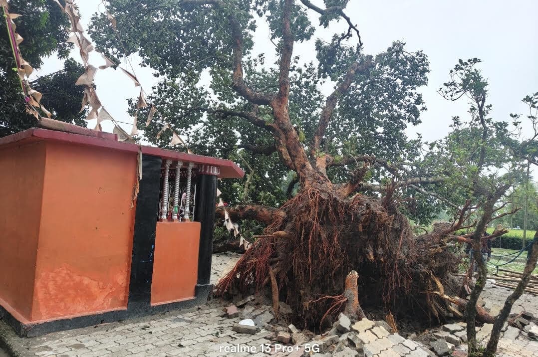 आंधी-बारिश में किसानों की केले व मक्के की फसल बर्बाद