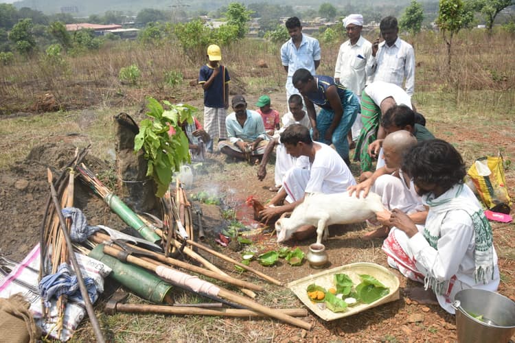 jamshedpur news : पारंपरिक हथियारों की हुई पूजा, दलमा में सेंदरा आज