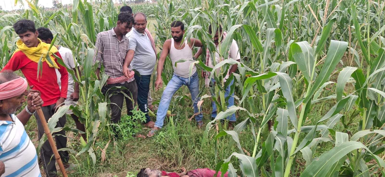 Banka बहियार में मिला महिला का शव, चेहरे पर एसिड डालने से शव की पहचान नहीं