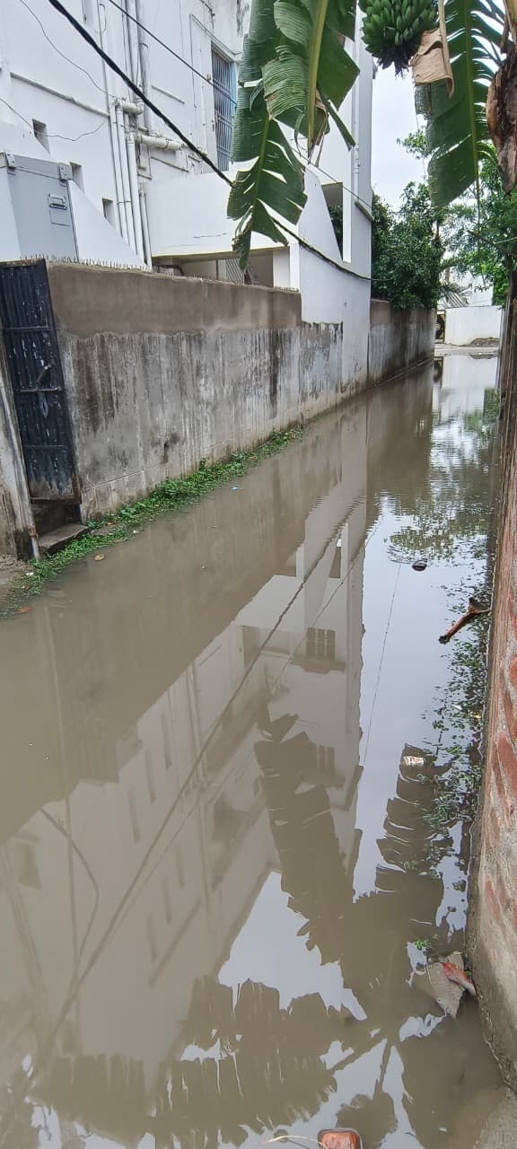 ओलावृष्टि व बारिश से अस्त व्यस्त हुआ जनजीवन, कई जगह पेड़ धराशायी