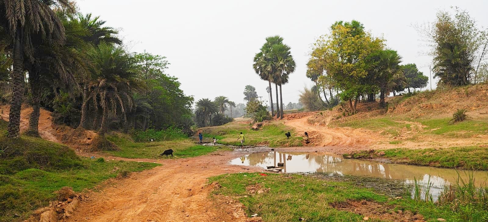 आंजन नदी पर पुल नहीं, हर बरसात में दो हिस्सों में बंट जाता है गांव