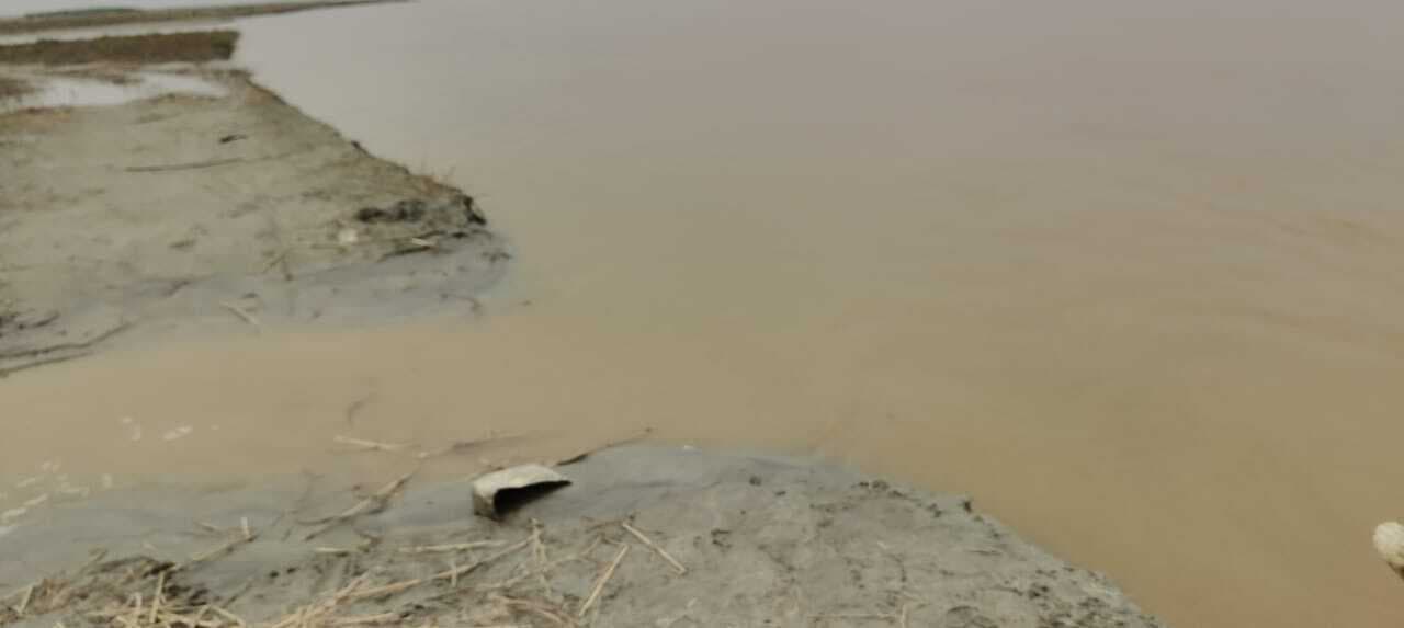 SAHRASA कोसी में उतरा  लाल पानी