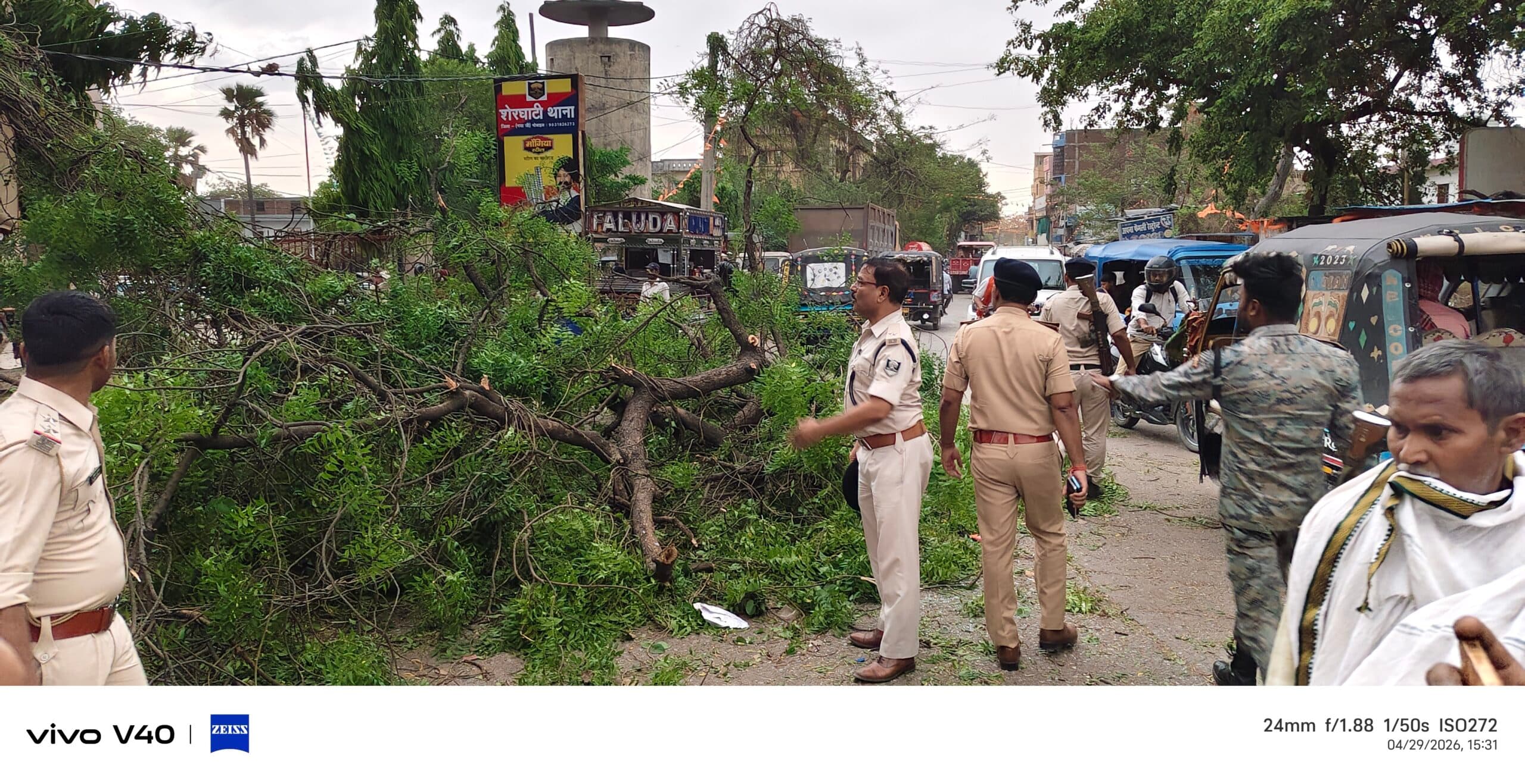 शेरघाटी में आंधी-तूफान से पेड़ गिरने से सड़क जाम