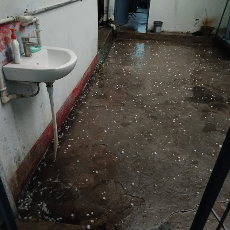 ओलावृष्टि और आंधी-बारिश से जनजीवन अस्त-व्यस्त, फसलों को भारी क्षति