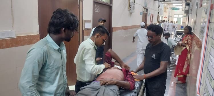 सांड के हमले से बुजुर्ग गंभीर, हालत नाजुक