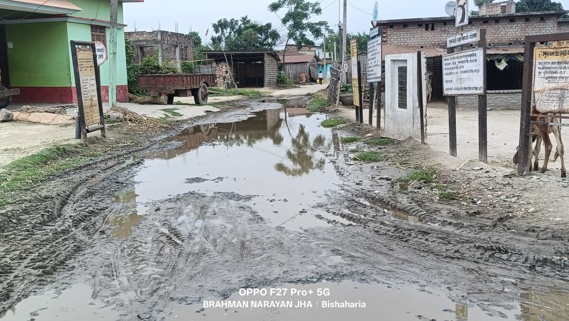 रहिका टोला में नाला के अभाव में जलजमाव से परेशानी