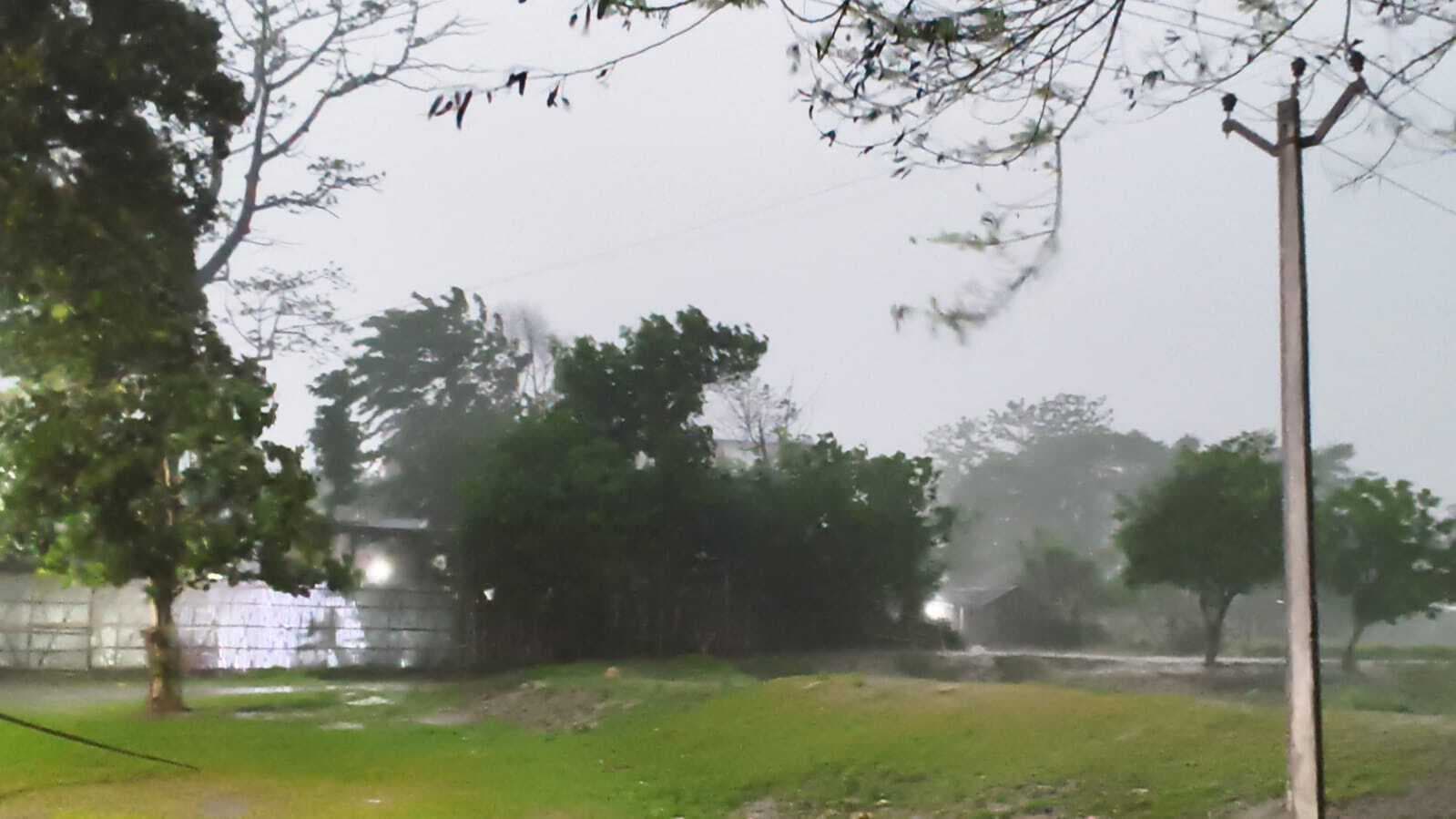 आंधी तूफान से पेड़ गिरे, आवागमन बाधित