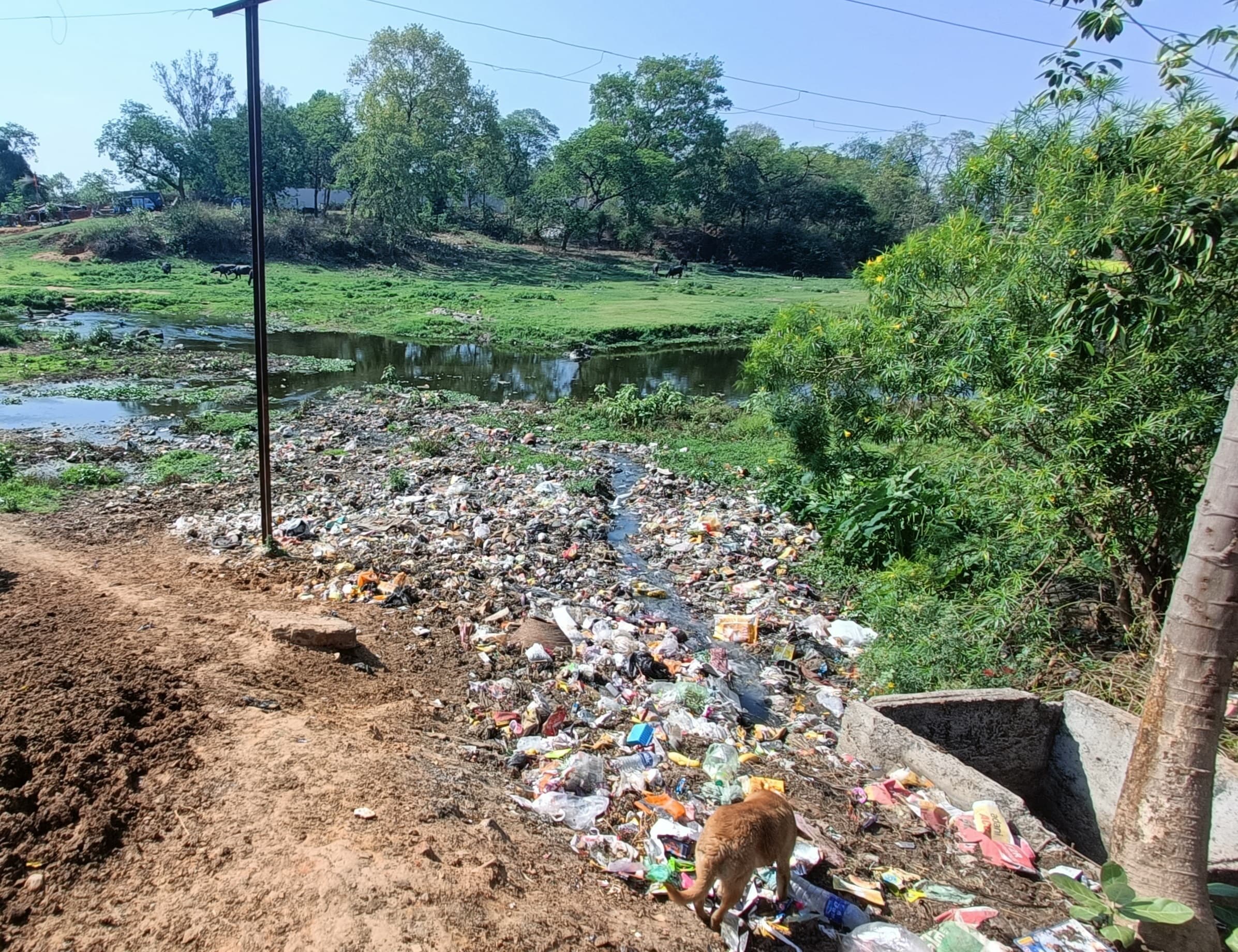 Bokaro News : गरगा नदी को मिलेगी कचरे से निजात