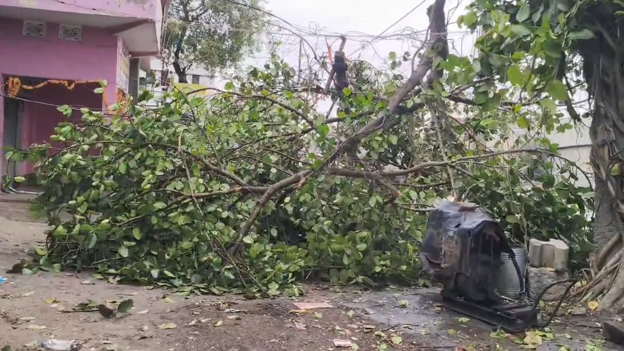 तेज आंधी व बारिश ने मचायी तबाही, कई झोपड़ी, पेड़ व पोल गिरे
