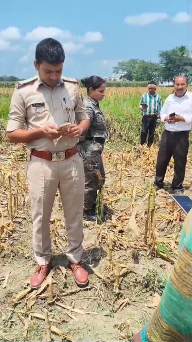 खेत में लगे मक्का के फसल को लूटा, सूचना पर पहुंची पुलिस