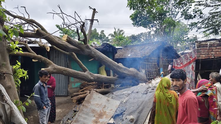 भीषण आंधी-ओलावृष्टि से फसलें तबाह, सैकड़ों पेड़ गिरे