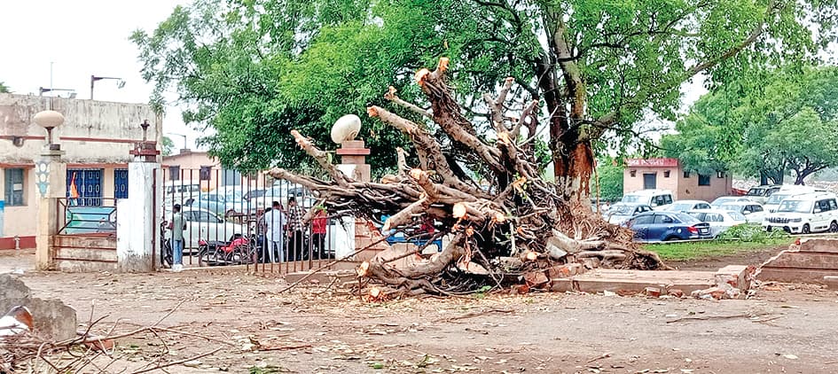 जामुड़िया में आंधी-पानी से जनजीवन अस्त-व्यस्त, कहीं गिरे पड़े तो कहीं खंभे