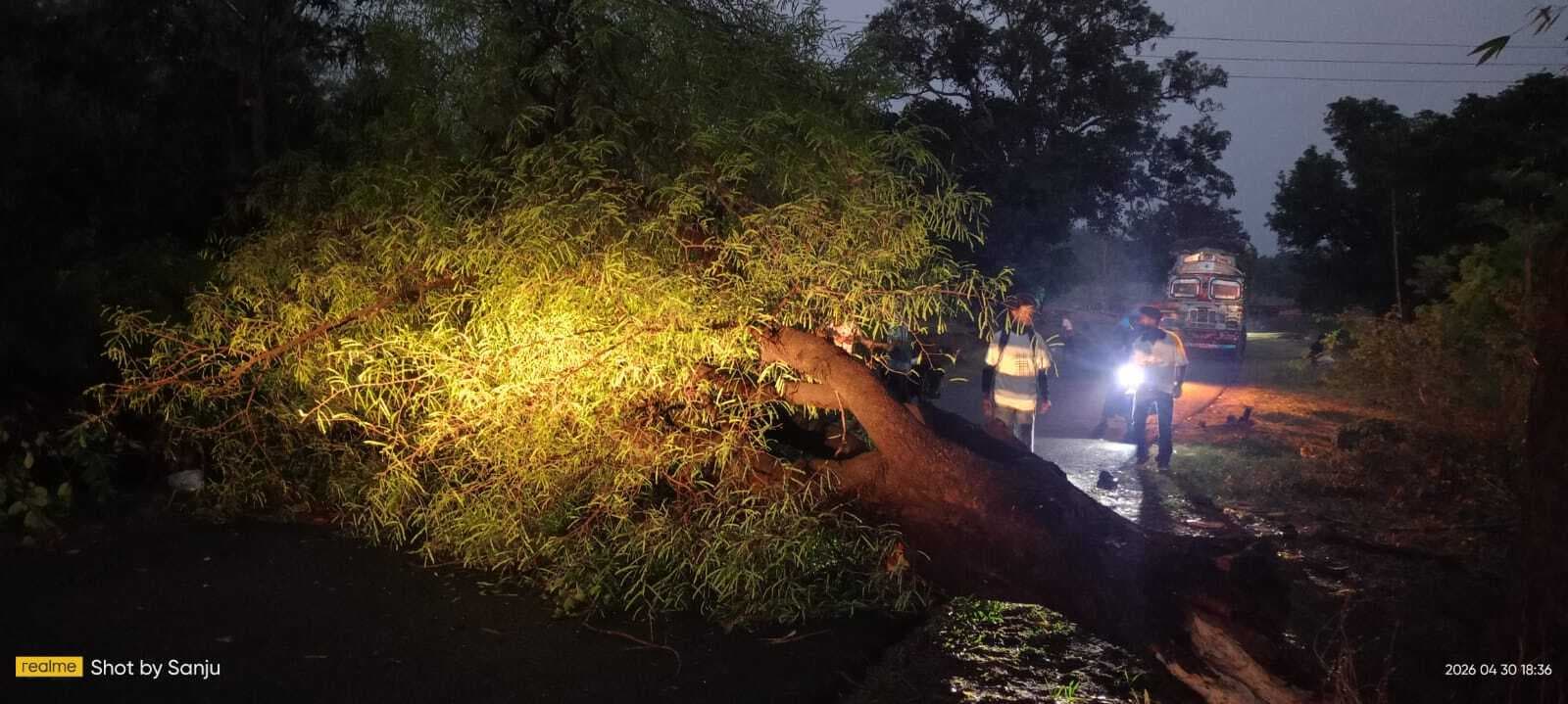 बारिश व आंधी से पेड़ गिरे और घर के छप्पर उड़े