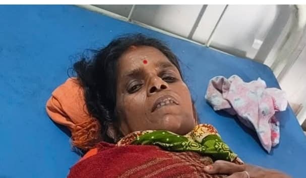 Giridih News :सब्जी बेच रही महिला पर टूटकर गिरा बिजली का तार, मची अफरा-तफरी