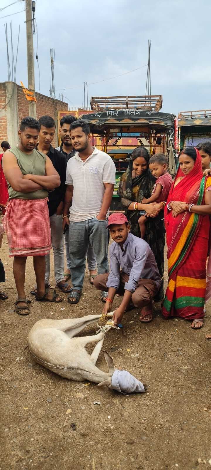 Giridih News :हिरण को ग्रामीणों ने किया रेस्क्यू, हो गयी मौत