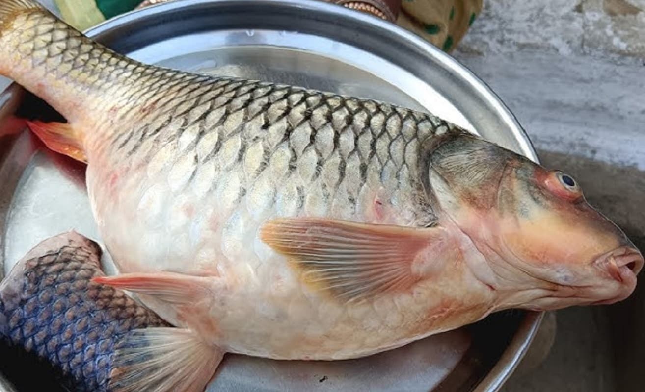 मछली चोरी के आरोप में भाजपा नेता की पिटाई, लोगों ने घंटों तक बनाये रखा बंधक