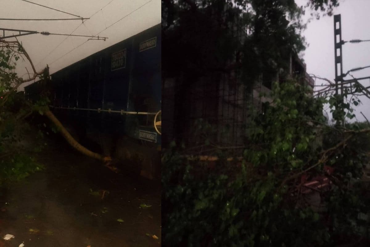 बक्सर में तेज आंधी-बारिश ने थामी ट्रेनों की रफ्तार, रघुनाथपुर स्टेशन पर ट्रैक पर गिरा विशाल पेड़, रेल यातायात प्रभावित