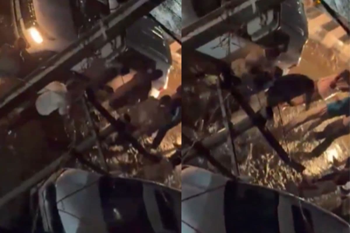 Video: सीवान गोलीकांड का वीडियो सामने आया, बीच सड़क पर बीजेपी नेता के बहनोई और भांजे पर ताबड़तोड़ फायरिंग