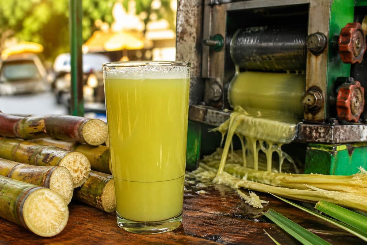 गन्ने का जूस पीने से पहले जान लें ये 5 बातें, कहीं फायदे की जगह हो न जाए आपको भारी नुकसान