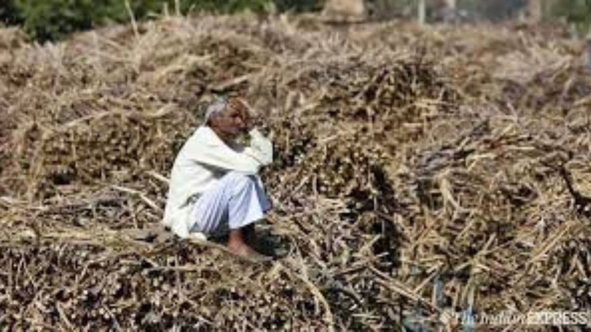 अररिया में फसल मुआवजा दिलाने के नाम पर पैसे मांगने वालों पर होगी सख्त कार्रवाई, डीएम ने जारी किया हेल्पलाइन नंबर