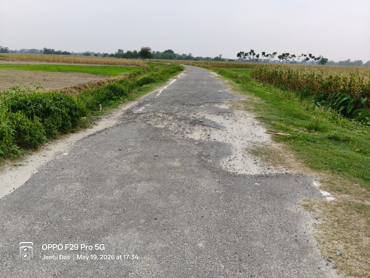 अररिया में दो साल में ही टूट गई करोड़ों की सड़क, ग्रामीणों ने निर्माण गुणवत्ता पर उठाए सवाल