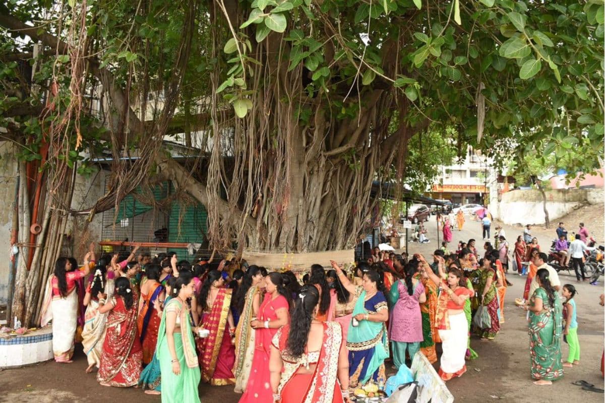बरगद का पेड़ सिर्फ वृक्ष नहीं, सनातन संस्कृति की जीवित पहचान