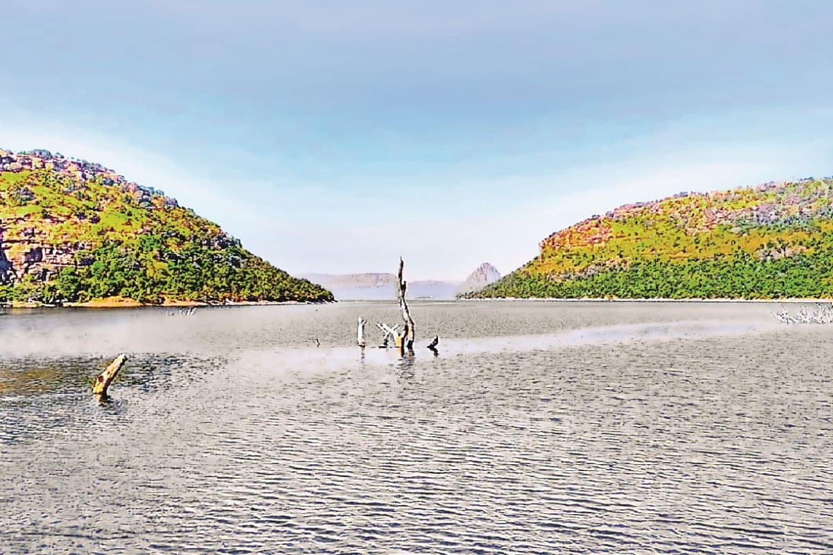 बिहार में इको टूरिज्म को बढ़ावा देने के लिए सरकार का मेगा प्लान तैयार, एक्शन मोड में विभाग