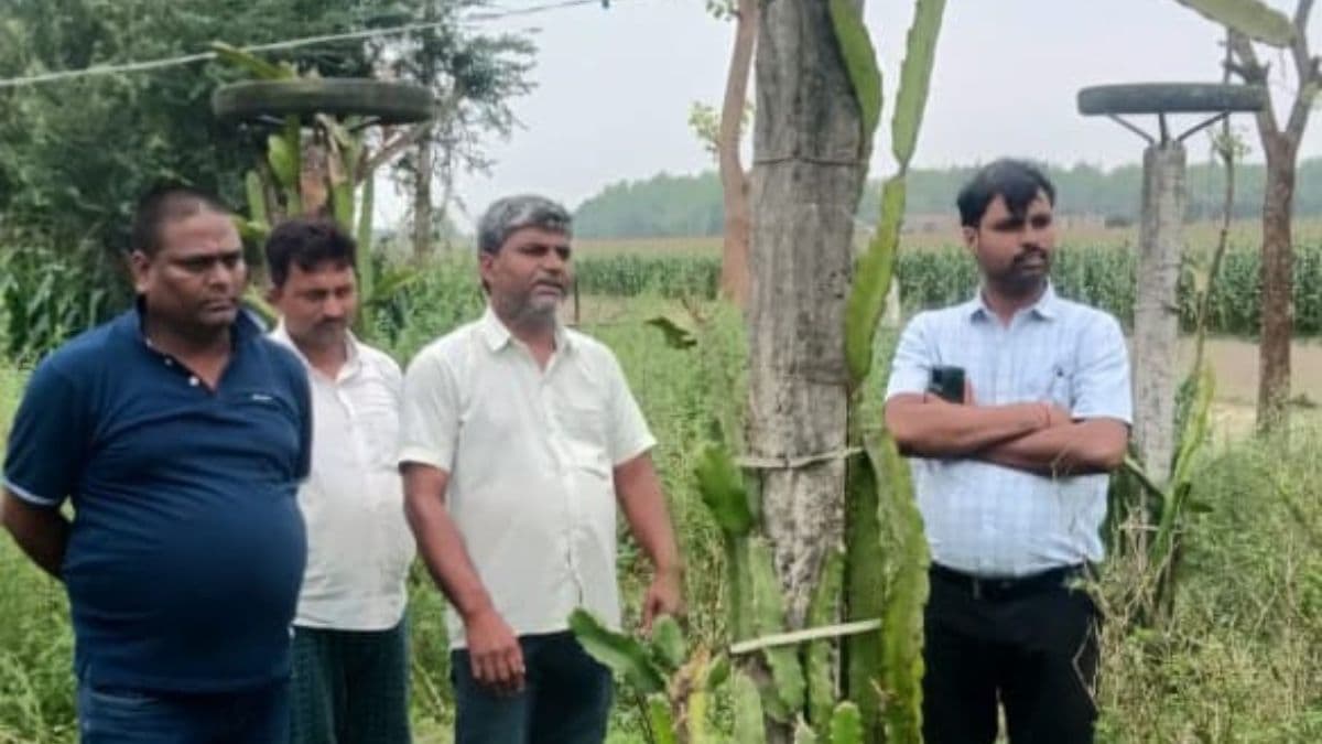 अररिया के भरगामा में किसानों की बदली किस्मत, ड्रैगन फ्रूट की खेती से हो रही लाखों की कमाई