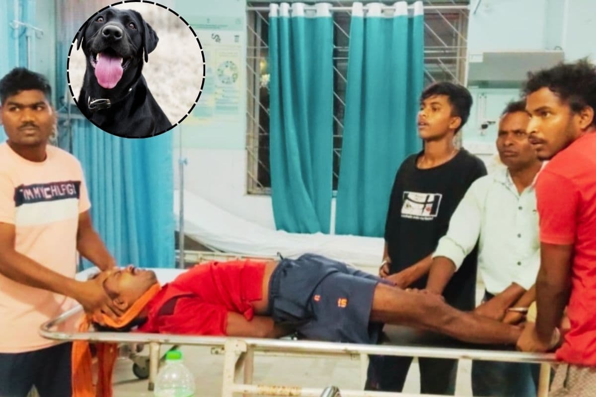 गुमला: कुत्ते के काटने के बाद अस्पताल नहीं, झाड़-फूंक के भरोसे रहा युवक, हालत बिगड़ने पर रिम्स रेफर 