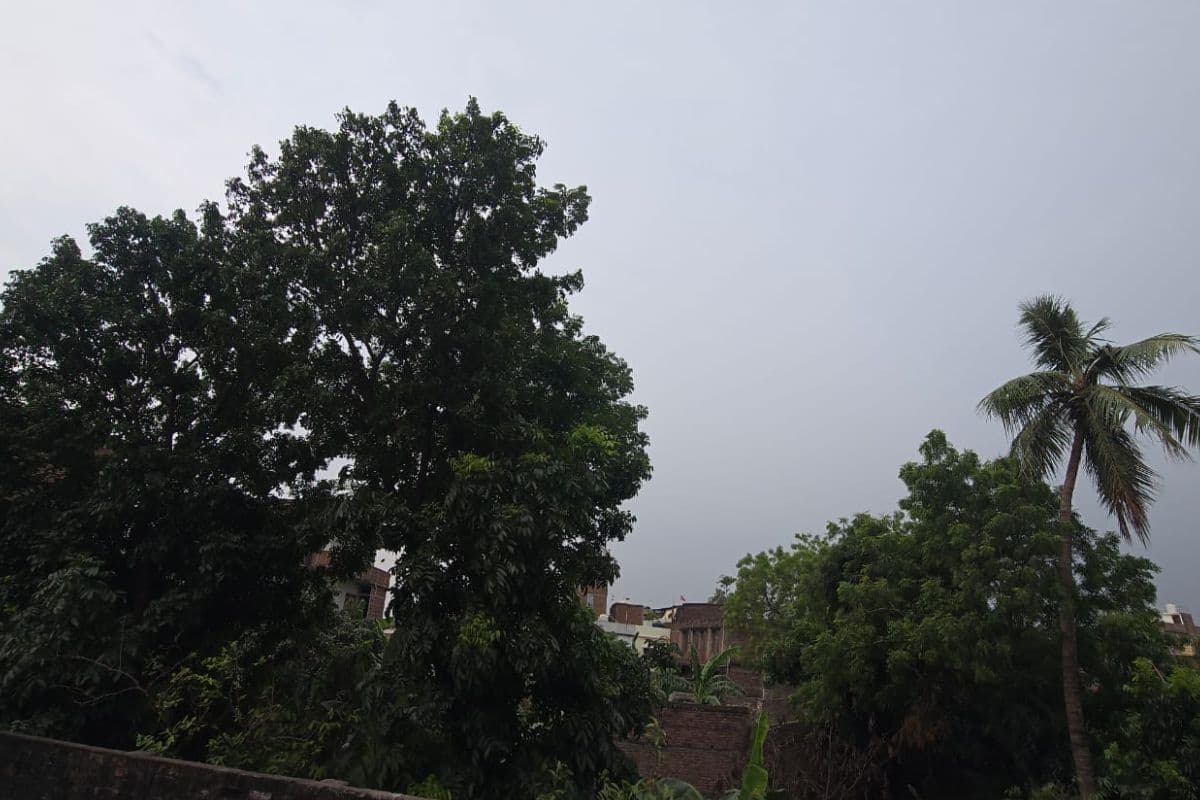 भीषण गर्मी से राहत, वैशाली में बदला मौसम का मिजाज