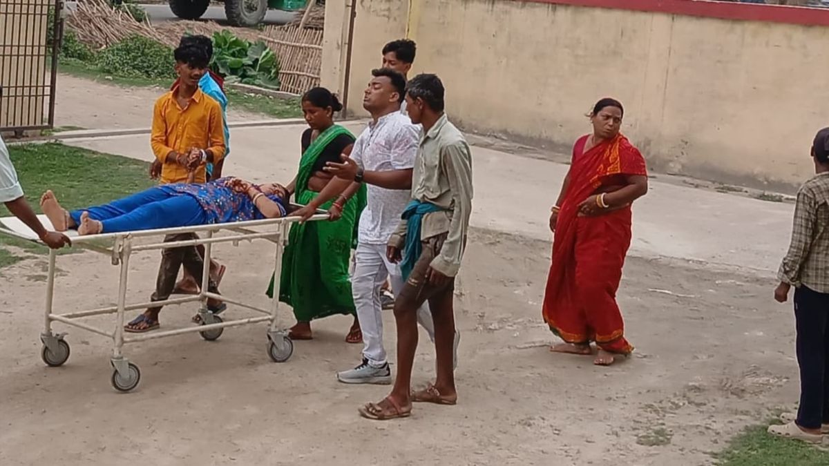 कोसी पुल पर दर्दनाक हादसा, बाइक से गिरकर महिला की मौत, 2 साल की बच्ची अनाथ