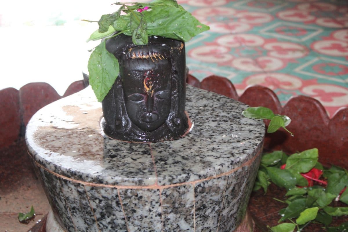 ठाकुरगंज में आस्था का अनोखा संगम, शिव–पार्वती की दुर्लभ प्रतिमा बनी आकर्षण