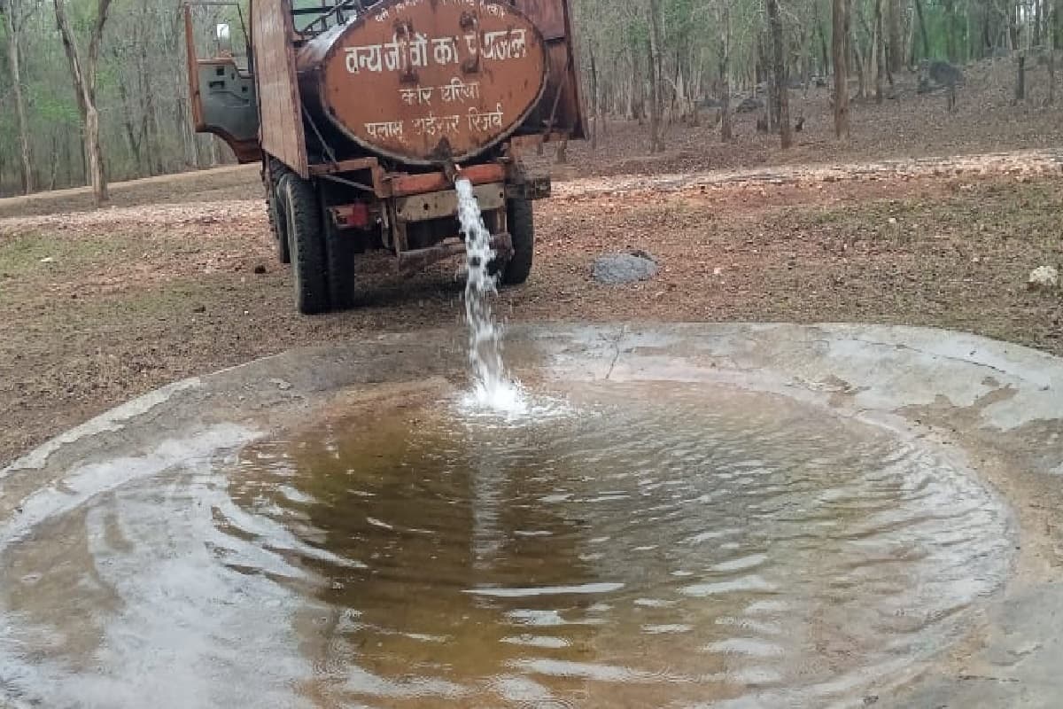 बेतला नेशनल पार्क में टैंकर से जलापूर्ति शुरू, वन्यजीवों की सुरक्षा को लेकर वन विभाग मुश्तैद