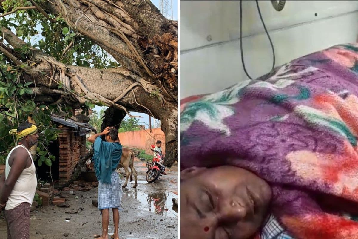 मुंगेर में तेज आंधी-बारिश में घर पर गिरा विशाल बरगद का पेड़, महिला गंभीर घायल