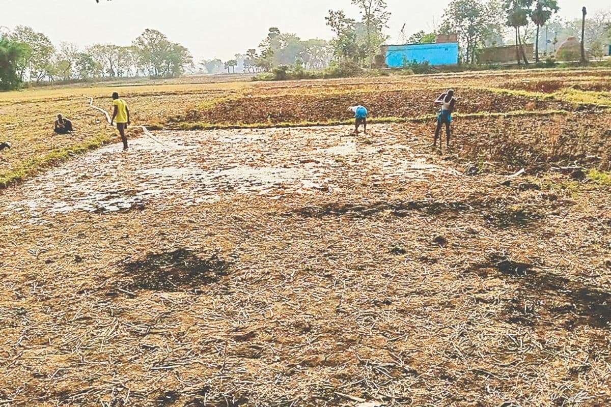 रोहिणी नक्षत्र से पहले धान की तैयारी में जुटे किसान, बिचड़ा डालने की तैयारी तेज, पोर्टल बंद रहने से ऑनलाइन आवेदन अटका