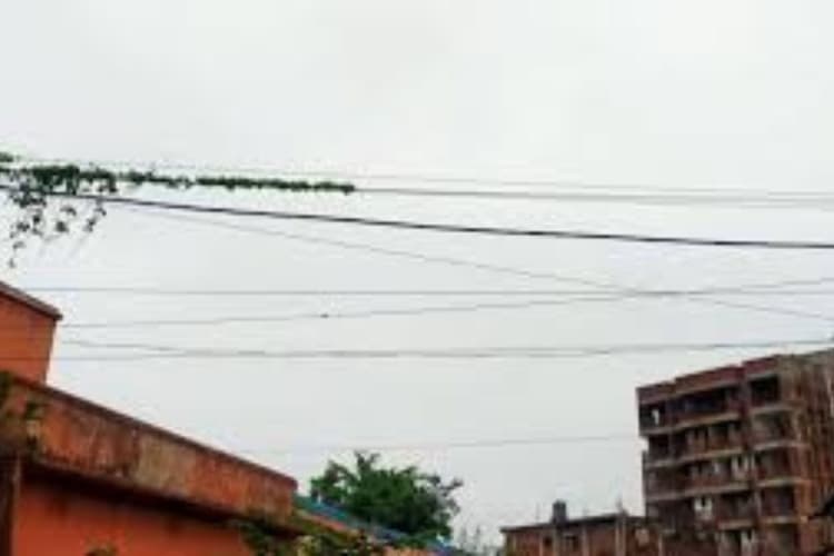 कटिहार में सोमवार को निकलेगी तेज धूप, 36 डिग्री तक पहुंचेगा पारा, मंगलवार से राहत