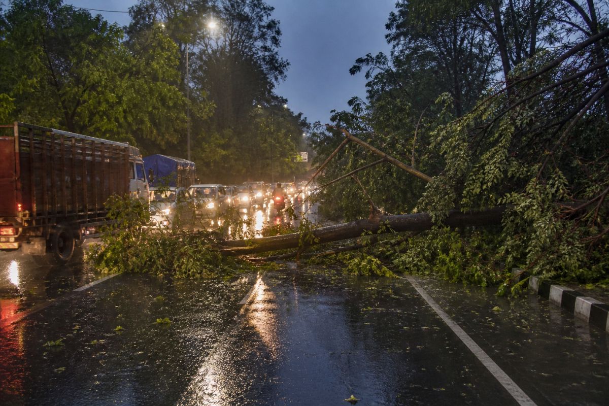 रामगढ़ में आंधी-बारिश से NH-33 पर गिरा पेड़, लोगों को हुई आने-जाने में दिक्कत