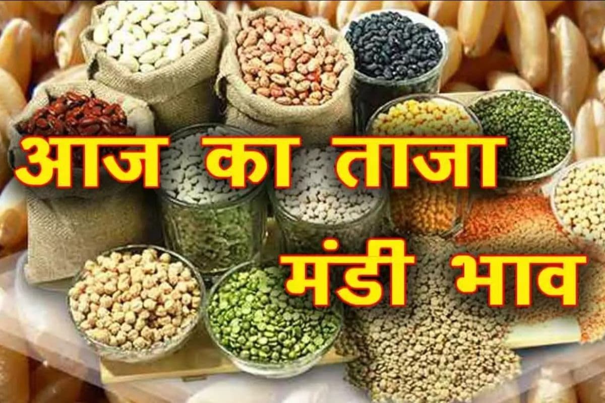 Samastipur Mandi Bhav: आज क्या हैं चावल, दाल और तेल के दाम, देखें पूरी लिस्ट