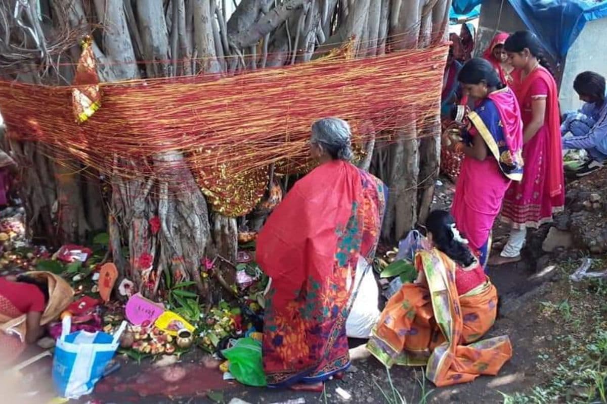 सरायकेला में वट सावित्री व्रत की धूम, सुहागिन महिलाएं करेंगी पति की लंबी उम्र की कामना 