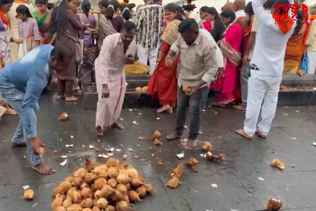Video : 116 नारियल फोड़कर टीवीके प्रमुख विजय की जीत का जश्न, देखें खास सेलिब्रेशन का वीडियो