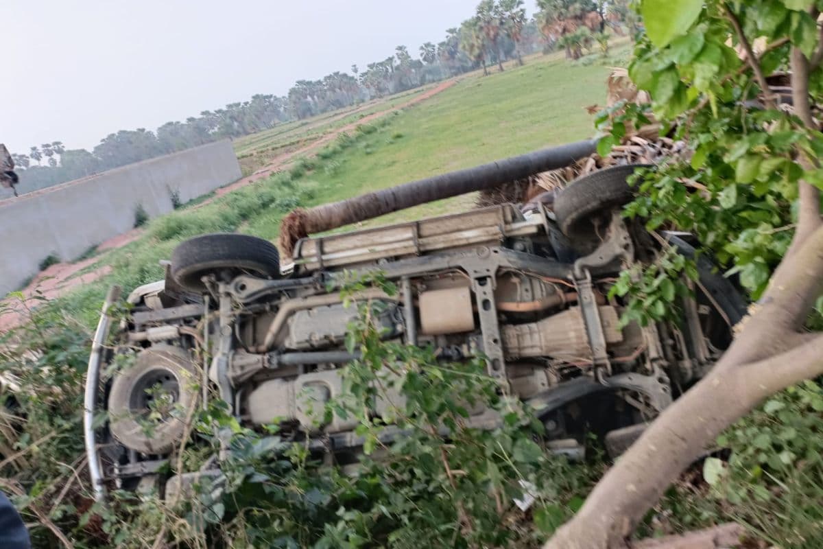 शेखपुरा में ट्रक ने दिया चकमा स्कॉर्पियो पेड़ से टकराई, भाजपा के पूर्व जिलाध्यक्ष समेत तीन घायल