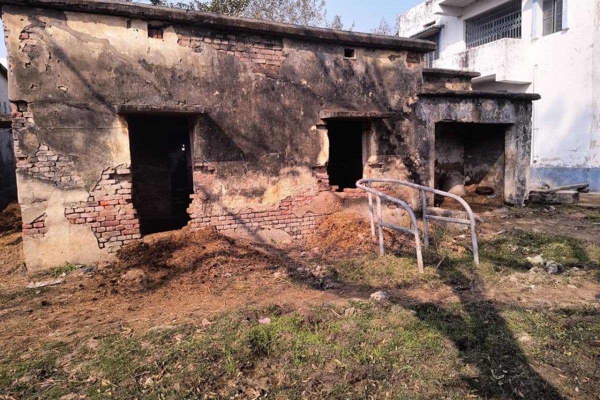 रोहतास में पशु चिकित्सालय की बदहाली, जर्जर भवन में हो रहा इलाज; मरम्मत का इंतजार