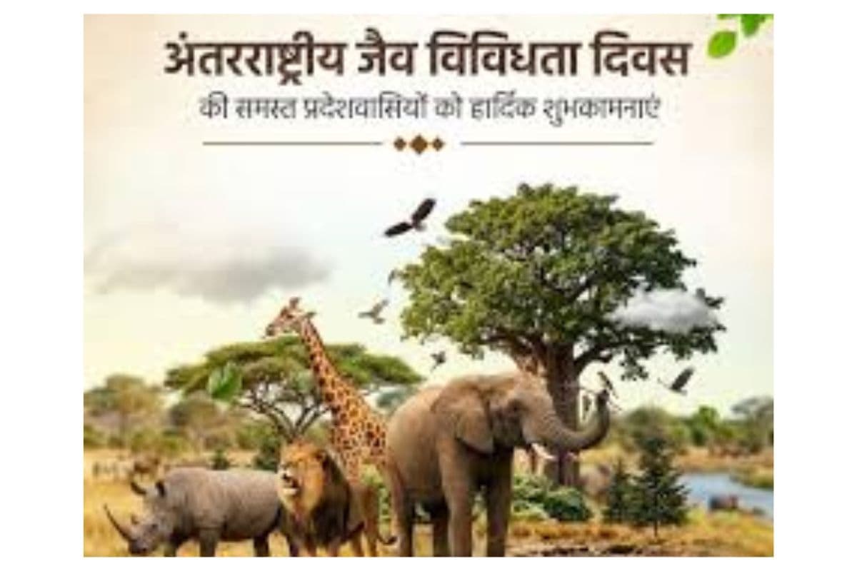 नवादा में अंतरराष्ट्रीय जैव विविधता दिवस के अवसर पर पर्यावरण संरक्षण और सतत विकास कार्यक्रम आयोजित