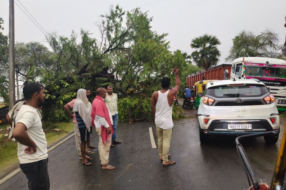 आरा-सासाराम हाईवे पर बड़ा हादसा टला, पेड़ गिरने से यातायात बाधित, वाहनों की लगी लंबी कतार