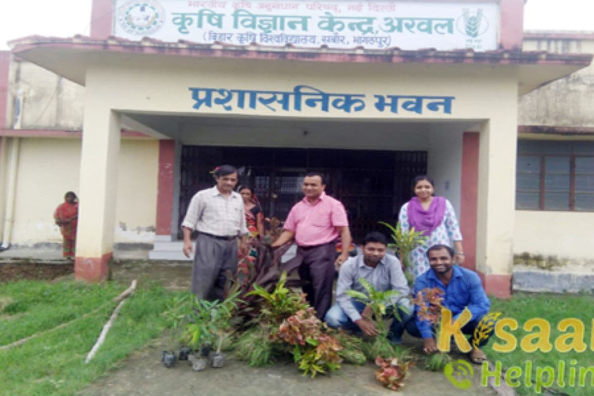 अरवल में खरीफ फसल के लिए किसानों को अनुदानित दर पर मिलेगा बीज, ऑनलाइन आवेदन शुरू