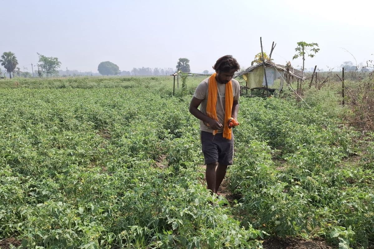 किराए की जमीन पर 30 लाख की खेती, आरा के युवा किसानों के लिए बने मिसाल