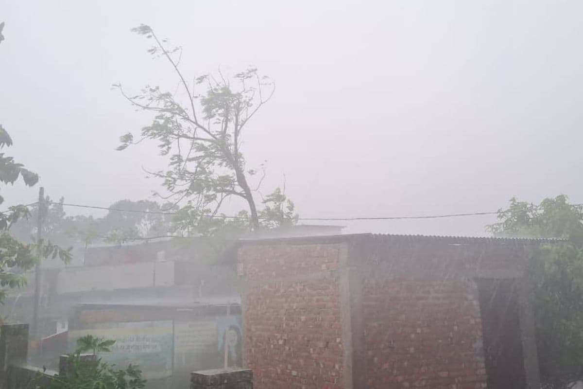 अररिया में झमाझम मूसलाधार बारिश से मौसम हुआ सुहाना: तपती गर्मी से राहत, लेकिन जल-जमाव से थमी रफ्तार; मक्का-गेहूं की फसल को नुकसान की आशंका