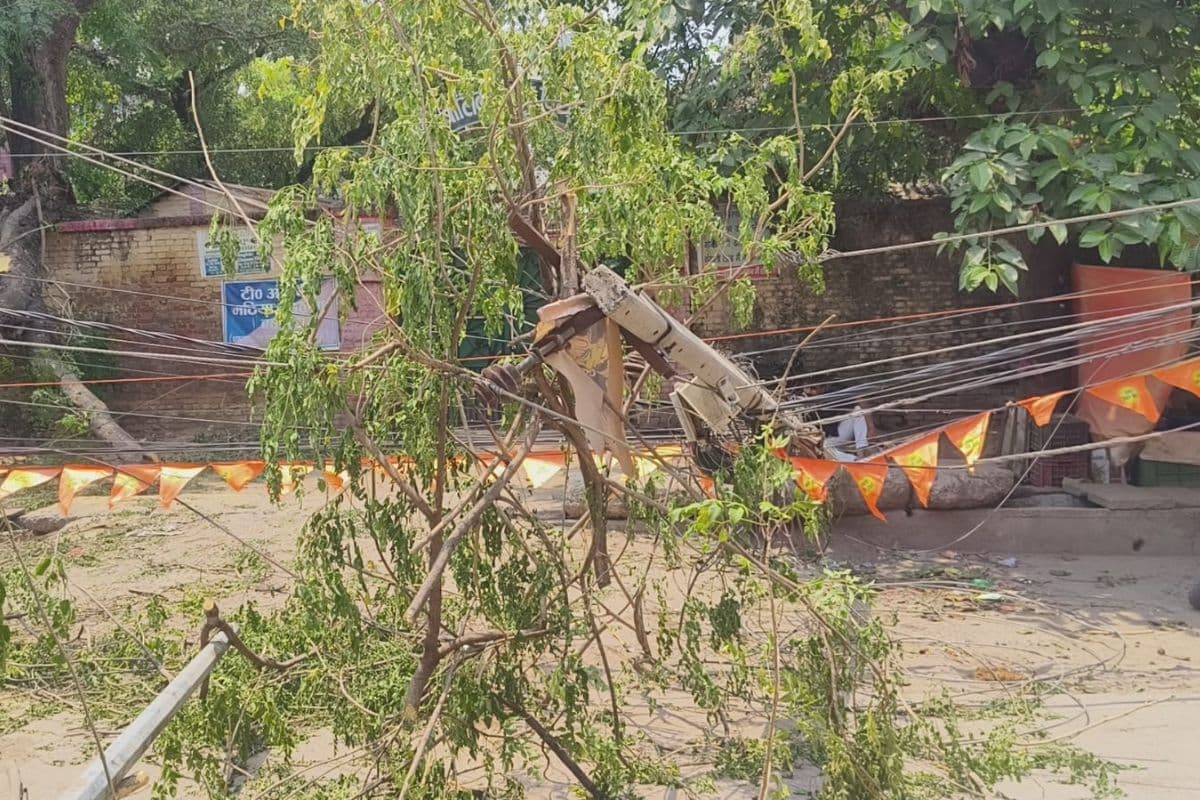 बक्सर में 24 घंटे से बिजली व्यवस्था ठप: तेज आधी से गिरे पेड़ और बिजली खंभे ने बढ़ाई मुसीबत, अंधेरे में डूबे कई घर
